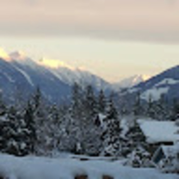 Meet your Posher, Connie - Picture 1 of 1